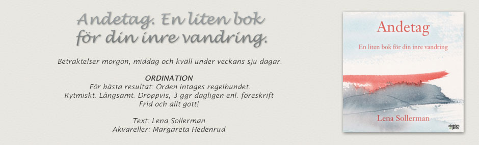 Boken Andetag - Lena Sollerman